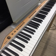 ✨大特価❗️レッスン用❗️初心者さん向け❗️スリムサイズ