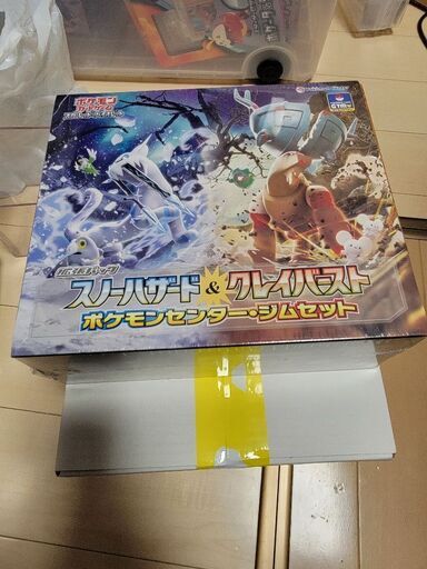 ポケモンカード　ジムセット　バイオレットex　スノーハザード