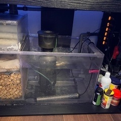 1200水槽オーバーフロー海水生体セット 1200水槽上部フィルター淡水魚 