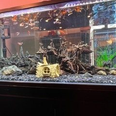 1200水槽オーバーフロー海水生体セット 1200水槽上部フィルター淡水魚 