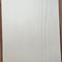 期間限定掲載　SONIC YOUTH ソニックユース　ポスター　ニルバーナNIRVANA GOLDENVOICE　引き取り限定