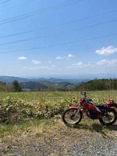 TLR200