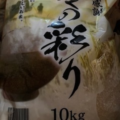 米　10kg
