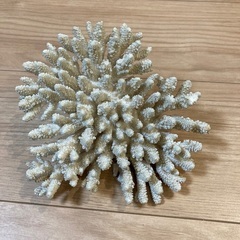 珊瑚の置物