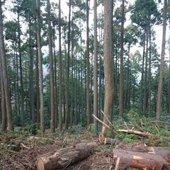 山林や土地を貸して下さい。