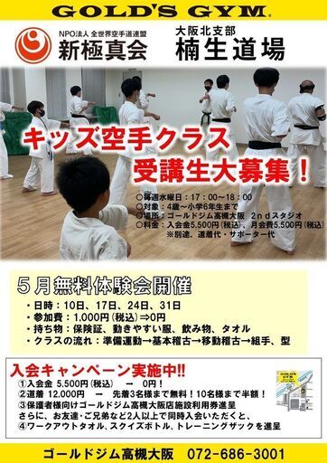 新極真会 極真会 空手 ミット ヘッドギア きんてき 道着