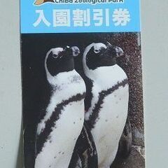 【ネット決済・配送可】千葉市動物公園割引券（期限：2024年3月...