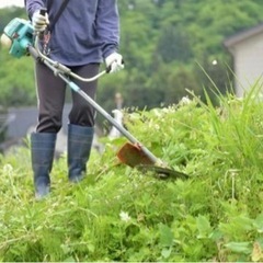 茨城県守谷市周辺　草刈り急募の画像