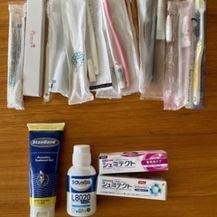 歯科医院専用【スタンガード】、新品【シュミテクト】、歯ブラシ