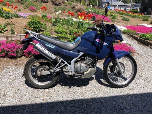 商談中　希少車！カワサキ KLE250アネーロ 名車です