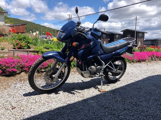 商談中　希少車！カワサキ KLE250アネーロ 名車です