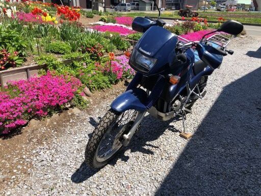 商談中　希少車！カワサキ KLE250アネーロ 名車です