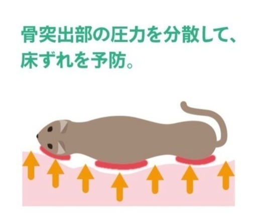 ペット用 体圧分散マットM 高反発 低反発