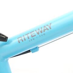 RITEWAY 「ライトウェイ」 ZIT 14 2021年モデル キッズバイク 5223042300702