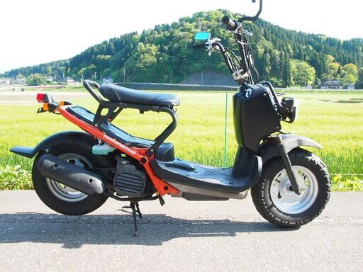 ホンダ ズーマー AF58型モデル実働富山、石川、金沢 | stainu