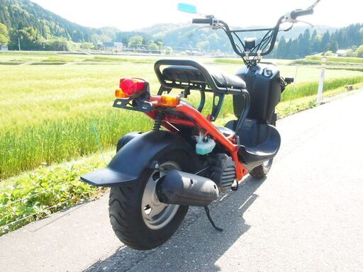 ホンダ　ズーマー　AF58型モデル実働富山、石川、金沢