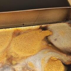 Ethnicraft デザイン雑貨 トレー2個セット Dawn Sweitzer