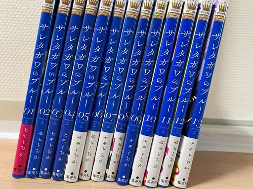 最新刊プラス【14冊　美品】【すべてカラーページ】サレタガワのブルー 1～14巻 既存全巻