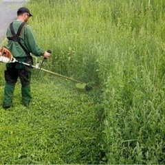 茨城県　草刈り
