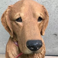 SANDICAST サンディキャスト ゴールデンレトリバー 置物 大型 幅37cm