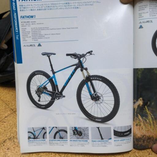 giant あまり乗ってません
