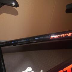 ジャイアント エスケープ Jr　子供自転車