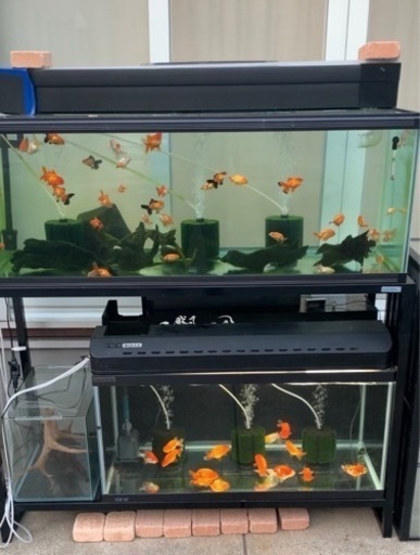 【取引完了】120センチ水槽　上部フィルター付き