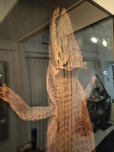 お引渡し決定】大迫力のワニ皮！全身！