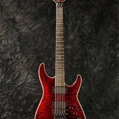 Schecter AD-C-1-HR-SP ヘルレイザー EMG...