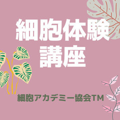 まずは体験講座から⭐️行き詰まっている美容健康関係者の皆さんへ💖細胞体験講座💖 - 勝浦市