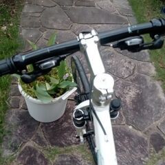 びあんきクロスバイク