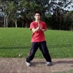 仕事帰りに公園で中国武術ジークンドー、詠春拳