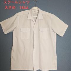 大きめスクールシャツ半袖185A