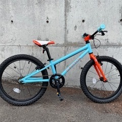 ヨツバサイクル／20インチ／ラムネブルー／子供用自転車