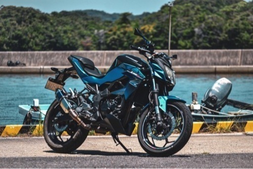 動画あり】Kawasaki / z250sl 青