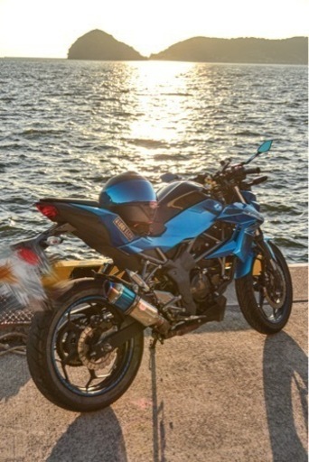 動画あり】Kawasaki / z250sl 青