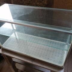 ガラス　ショーケース　75cm