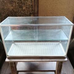 ガラス　ショーケース　75cm