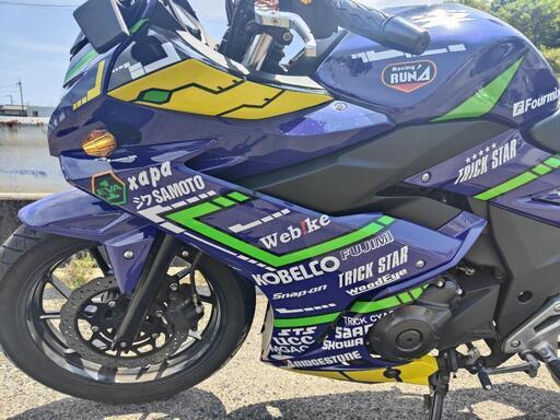 gsx250r EVA カスタム 25万超！ 製品概要 | GSX250R | 二輪車 | スズキ