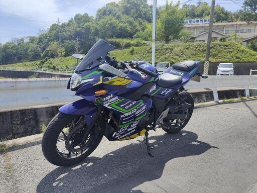 gsx250r EVA カスタム 25万超！