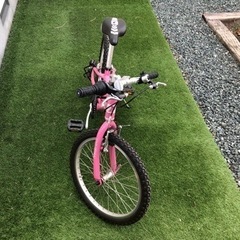 ルイガノ20インチ　LGS J206 【美品】