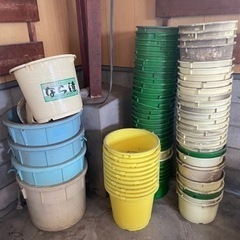 メダカ飼育等に　プラスチック桶　多数