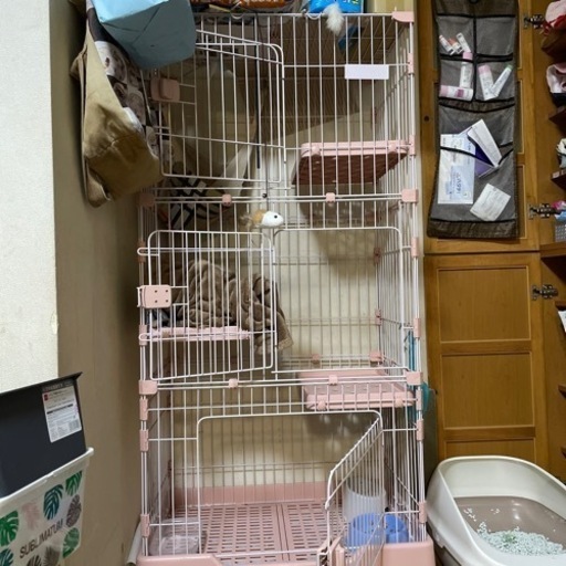 猫のペットケージ