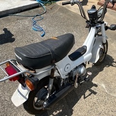 シャリー70 角目シャリー(ダックス、モンキー)