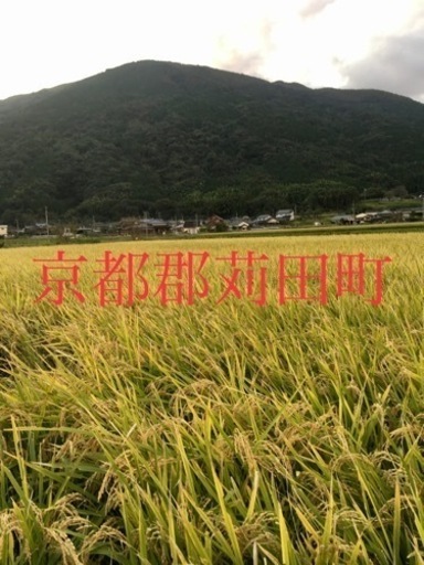 令和4年度産 白川米 元気つくし 玄米 30kg