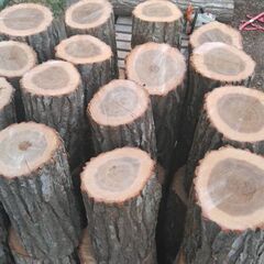 北広島市　ナラ　玉切り材　1立米　約40cm