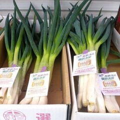 🔻【完売】🥬【新鮮野菜】栄養が4倍　榛沢深谷ネギ9～10本組　1...