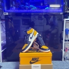 アクアシステムズ　オーバーフロー水槽