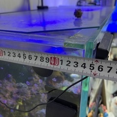 アクアシステムズ　オーバーフロー水槽