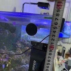 アクアシステムズ　オーバーフロー水槽